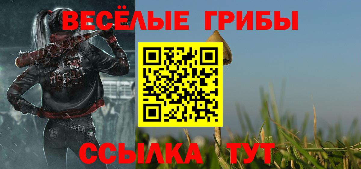 Сарапул  Псилоцибиновые грибы прущие грибы  Вход с VPN 