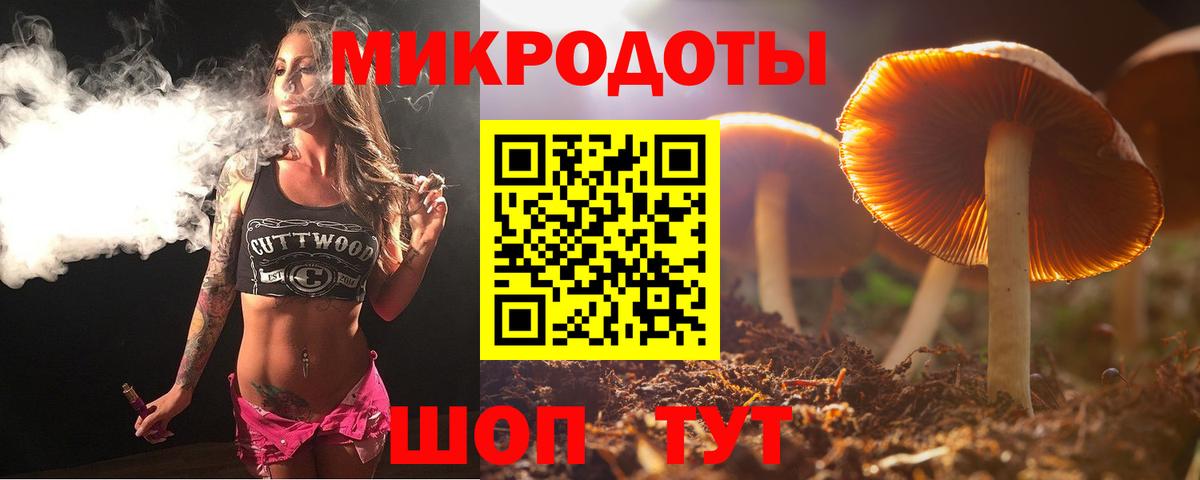 Галлюциногенные грибы прущие грибы Сарапул